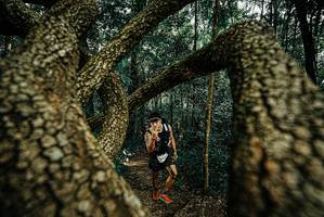 BIB: 
                            <button type="button" onclick="openModal(25671110)" class="btn btn-primary btn-sm float-right btn-popup" data-toggle="modal" data-target=".modal-high-quality">
                        <i class="fas fa-shopping-cart"></i> Add to Cart
                    </button>
                                            <button type="button" onclick="isThisMe(25671110, true)" class="btn btn-success btn-sm float-right btn-popup btn-isme hidden" data-toggle="tooltip" data-placement="bottom" title="นี่คือรูปของคุณใช่ไหม คลิกที่นี่เพื่อเอาเข้าอัลบั้ม">
                        <i class="fas fa-plus"></i> Add to album
                    </button>
                    <button type="button" onclick="isThisMe(25671110, false)" class="btn btn-warning btn-sm float-right btn-popup btn-isnotme hidden">
                        <i class="fas fa-ban"></i> Remove from album
                    </button>